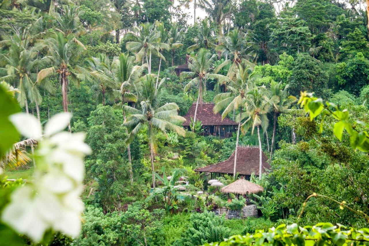 Villa Mahadevi Jungle Retreat Joglo 1 Ubud Exteriér fotografie